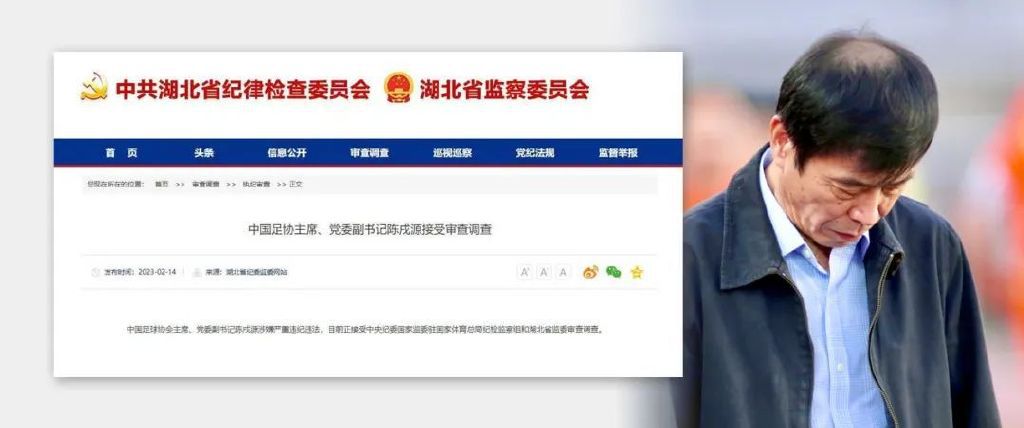 猫咪成人官网